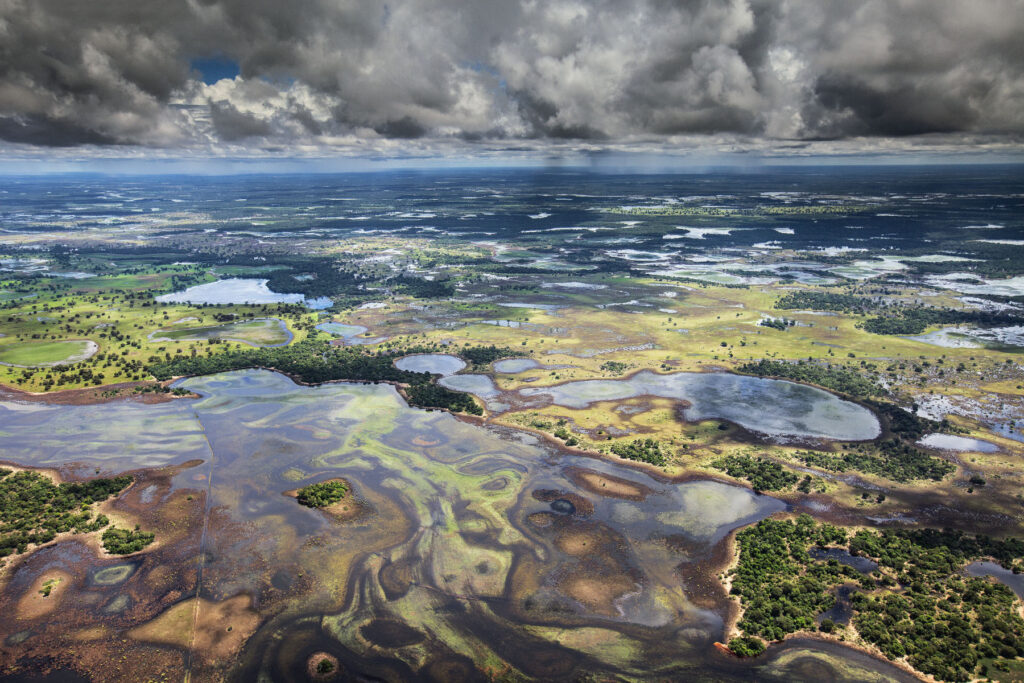 Documenta Pantanal promove exposição com grandes nomes da fotografia