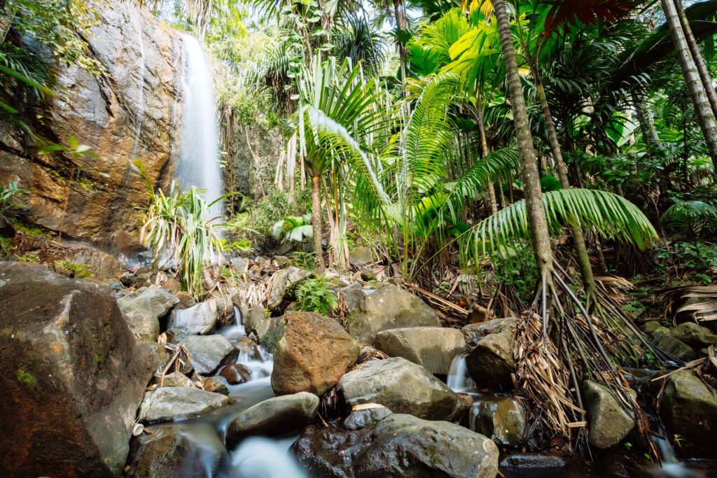 Como chegar e aproveitar o melhor de Seychelles